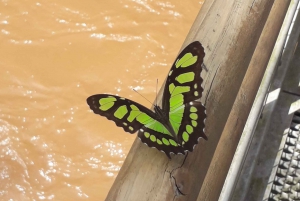 Iguazu Falls: Guided Walking Tour - Argentinean side