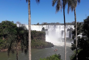 Iguazu Falls: Guided Walking Tour - Argentinean side