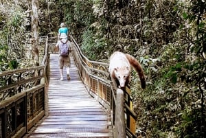 Iguazu Falls: Guided Walking Tour - Argentinean side
