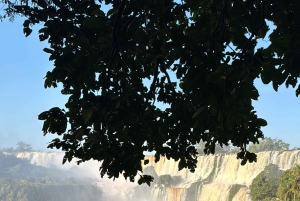 Iguazu Falls Private Day Tour: Brazil+Argentina+Boat Option