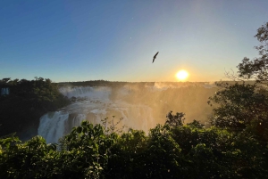 Iguazu Falls Private Day Tour: Brazil+Argentina+Boat Option