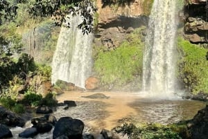 Visite privée des chutes d'Iguazu : Brésil et Argentine en 1 jour