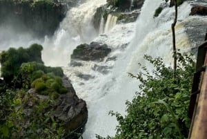 Visite privée des chutes d'Iguazu : Brésil et Argentine en 1 jour