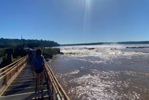 Tour particular pelas Cataratas do Iguaçu: Brasil e Argentina em um dia