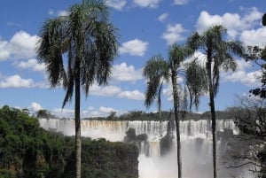 Taksówki Iguazu: Lotnisko + wodospady po obu stronach + lotnisko!