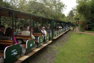 Die Iguazú-Wasserfälle zum Anfassen: Geführter Rundgang, Zugfahrt & Bootsfahrt