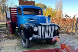 W Mendozie Wycieczki po winnicach, empanadas i oliwa z oliwek
