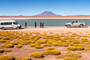 Jujuy : San Pedro de Atacama - Transfer