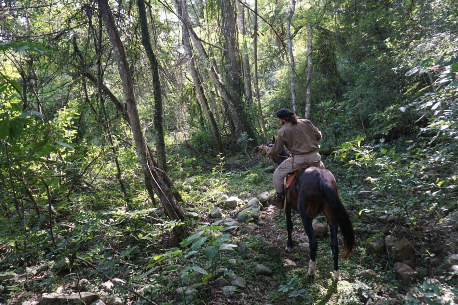 Jungle of Yungas : 2 days with horseback riding