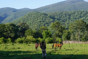 Jungle of Yungas : 2 days with horseback riding
