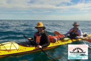 Avventura in kayak a Puerto Madryn