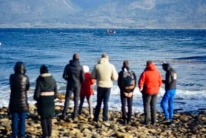 Experiência de pesca de caranguejo-rei