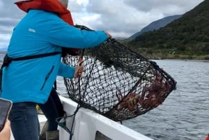 Expérience de pêche au crabe royal