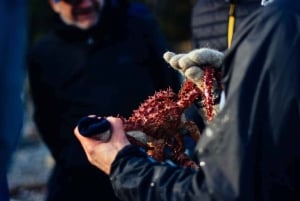 Experiência de pesca de caranguejo-rei