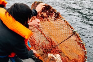 Experiência de pesca de caranguejo-rei