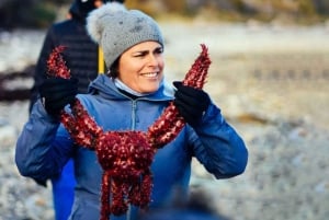 Expérience de pêche au crabe royal