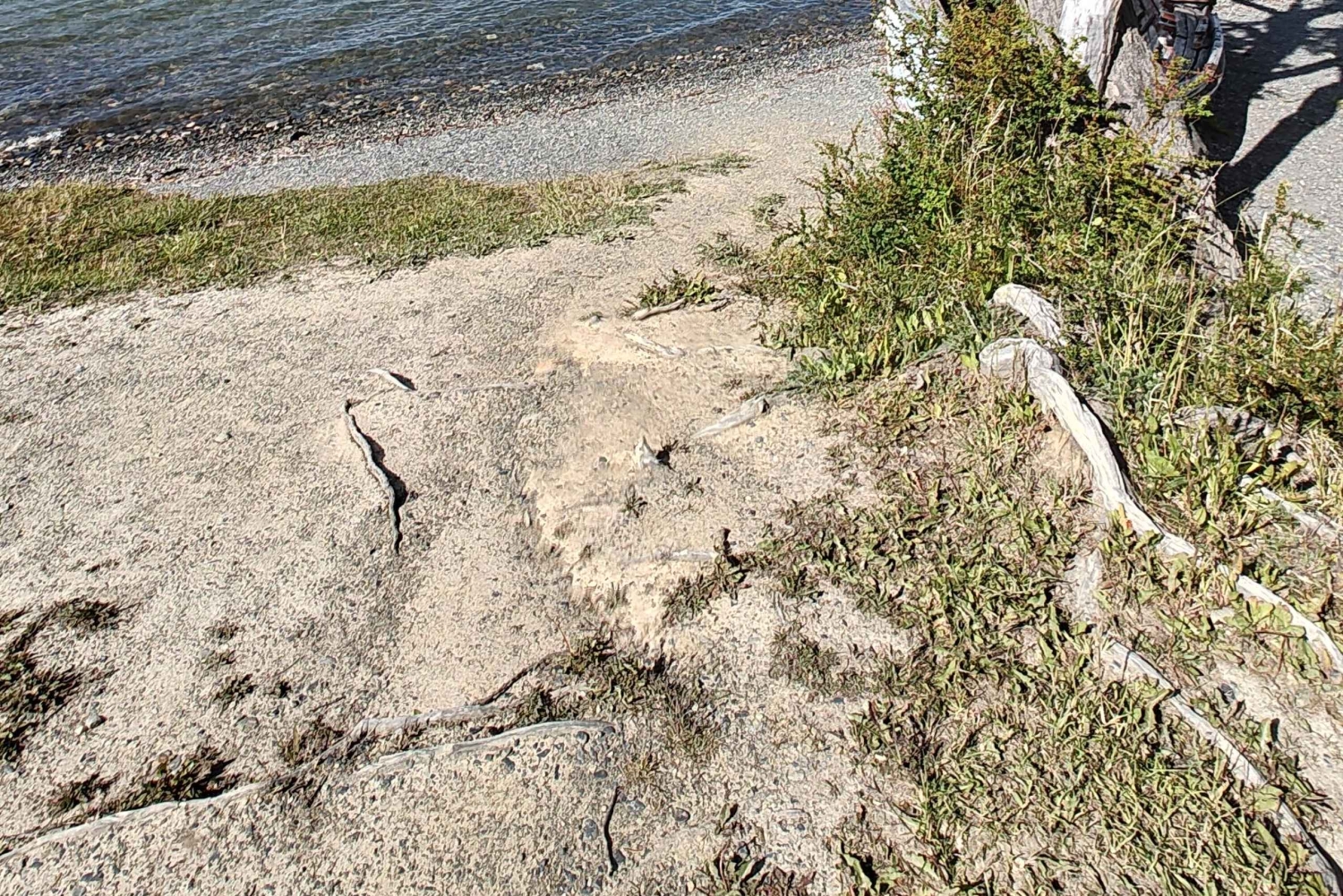 Ushuaia Lakes Tour til lav pris