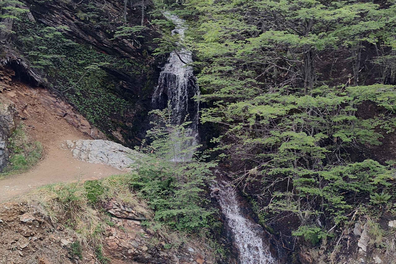 Ushuaia Lakes Tour til lav pris