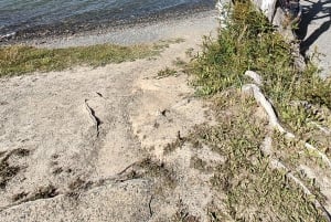 Ushuaia Lakes Tour til lav pris