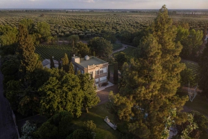 Luigi Bosca Tour + Weinverkostung + Mittagessen in der Finca el Paraiso