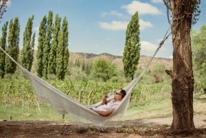 Saboreando Luján de Cuyo: Uma exploração culinária e de vinhos