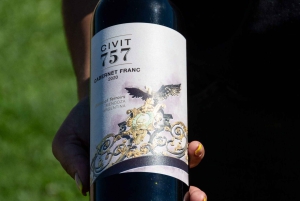 Luján de Cuyo: Vin- och ginprovning med cocktailkurs