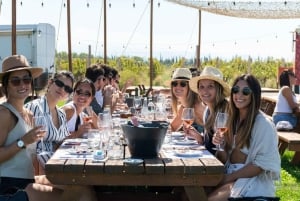 Luján de Cuyo: Wine and Gin Tasting with Cocktail Class