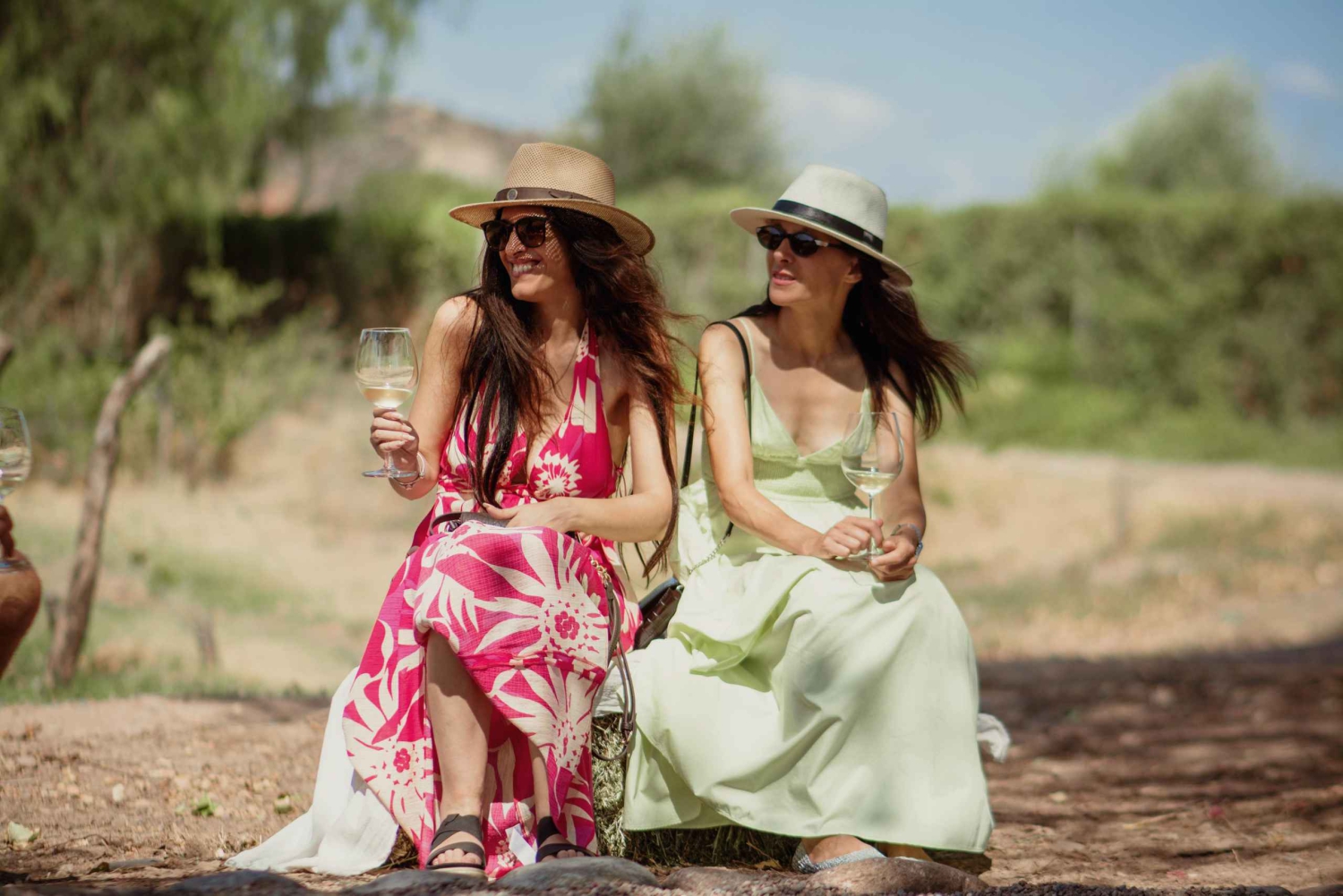 Luján de Cuyo vinrundtur: Premiumprovningar & Gourmetlunch