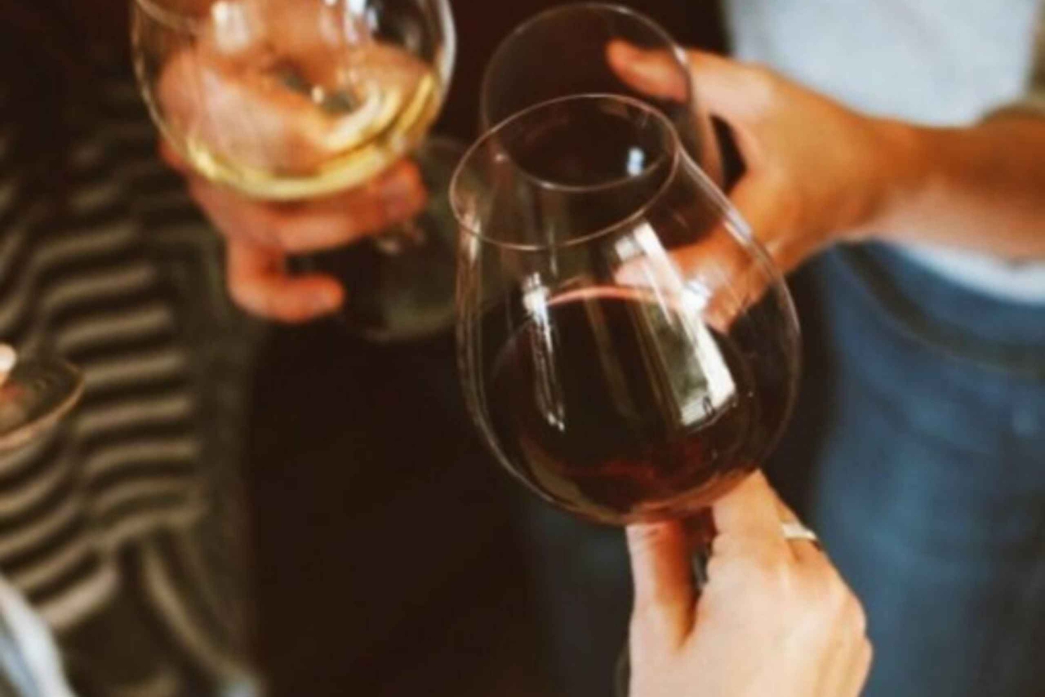 Luján de Cuyo vinrundtur: Premiumprovningar & Gourmetlunch