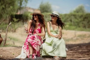 Luján de Cuyo vinrundtur: Premiumprovningar & Gourmetlunch