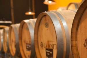 Luján de Cuyo vinrundtur: Premiumprovningar & Gourmetlunch