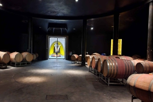 Luján de Cuyo vinrundtur: Premiumprovningar & Gourmetlunch