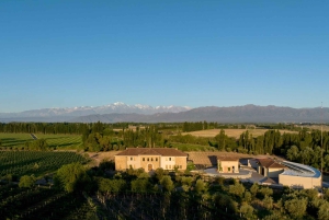 Luján de Cuyo vinrundtur: Premiumprovningar & Gourmetlunch