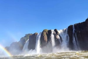 Äventyr vid Iguazu Falls: Safari, fågelpark och vattenfall