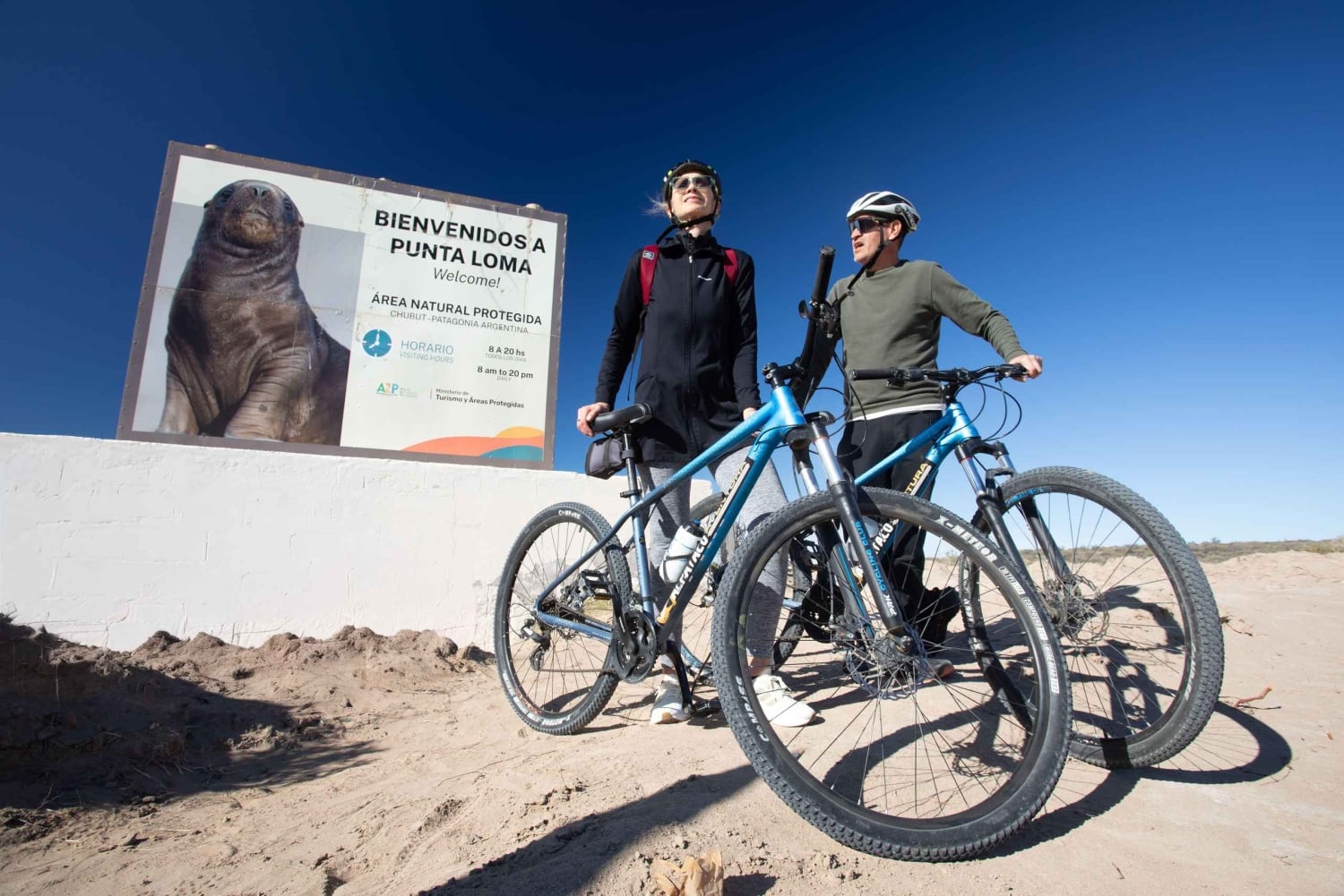 Madryn Bike Tours. Punta Loma: søløver, skibsvrag og klipper