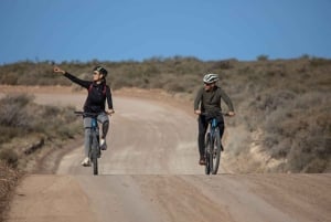 Madryn Bike Tours. Punta Loma: søløver, skibsvrag og klipper