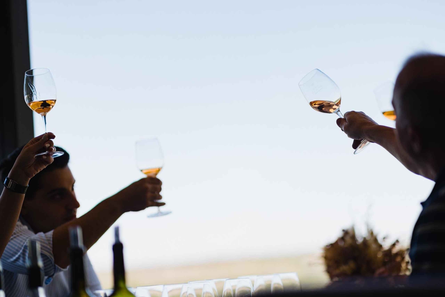 Maipú: Lav din egen vin + frokost med tapas