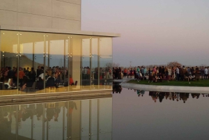 Maipú: wijn- en olijfolietour met gastronomische lunch