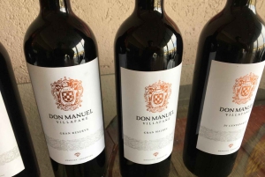 Maipú: wijn- en olijfolietour met gastronomische lunch