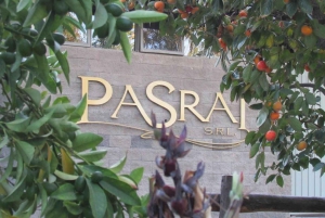 Maipú: wijn- en olijfolietour met gastronomische lunch