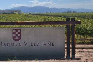 Maipú: Wein- und Olivenöl-Tour mit Gourmet-Mittagessen