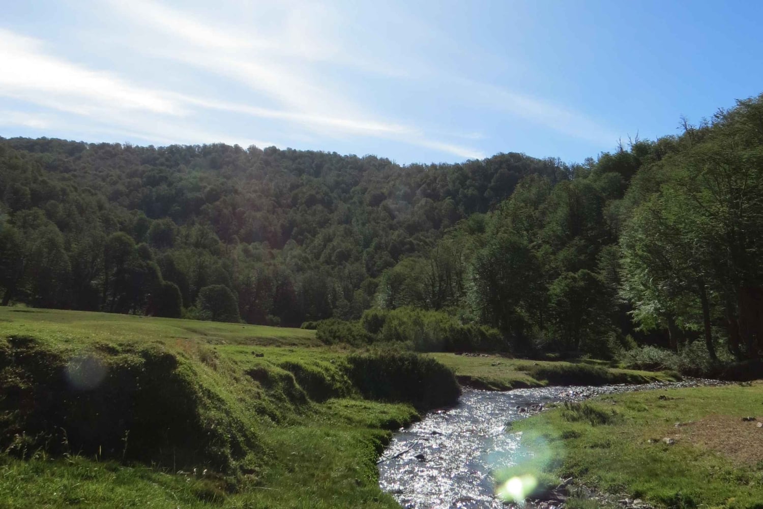 Mallin Grande: a different Sightseeing Tour