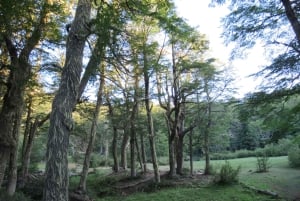 Mallin Grande: a different Sightseeing Tour