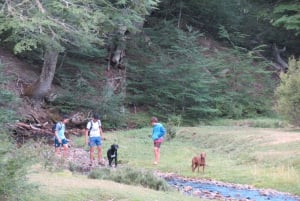 Mallin Grande: a different Sightseeing Tour