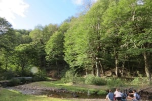 Mallin Grande: a different Sightseeing Tour