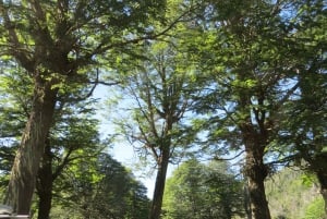 Mallin Grande: a different Sightseeing Tour