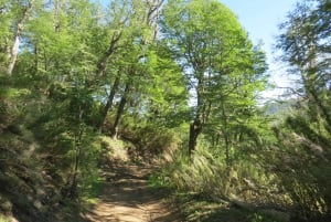 Mallin Grande: a different Sightseeing Tour