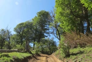 Mallin Grande: a different Sightseeing Tour