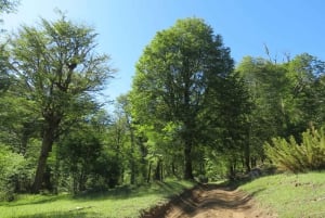 Mallin Grande: a different Sightseeing Tour