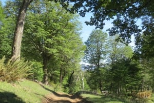 Mallin Grande: a different Sightseeing Tour